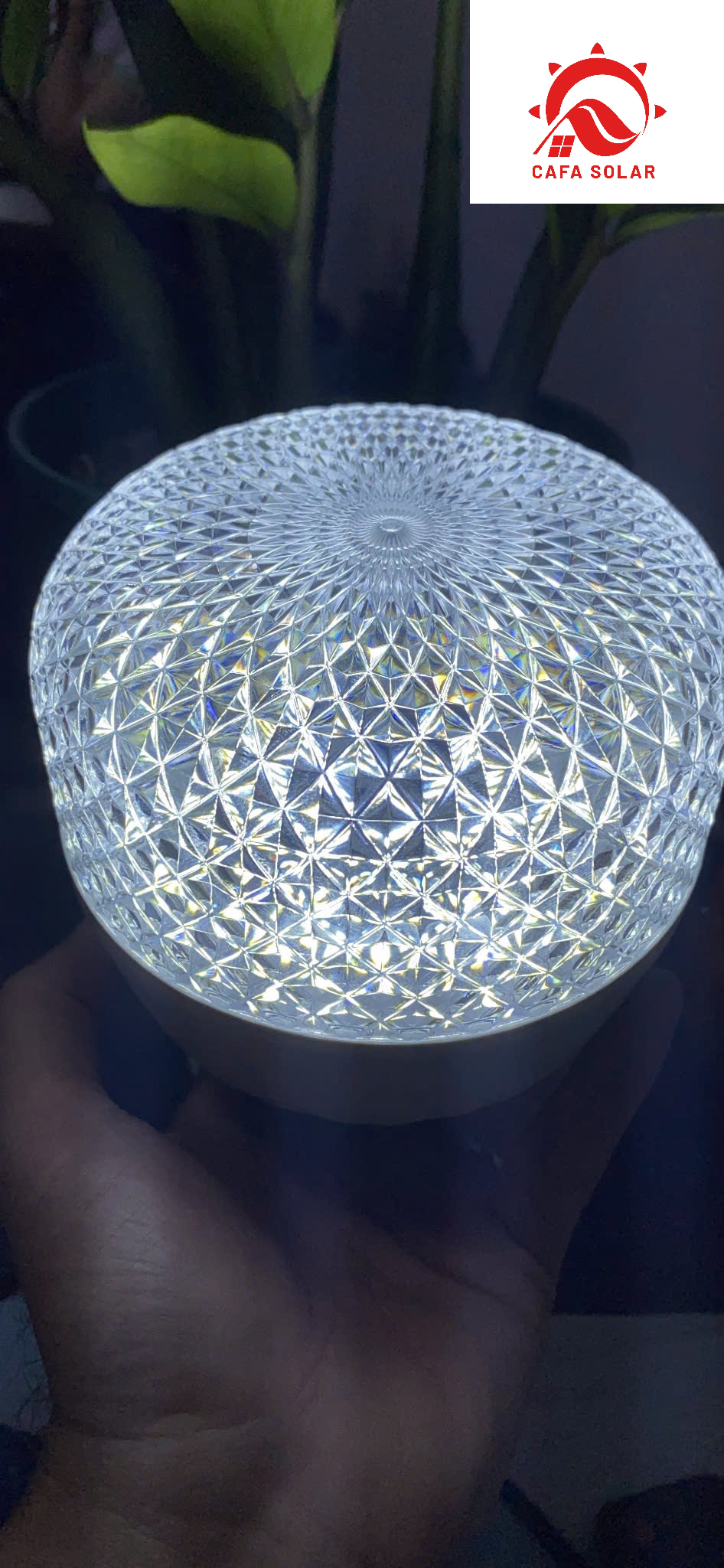 z7167055686421_e8ff8d2e54d54f81950829c48952bbda