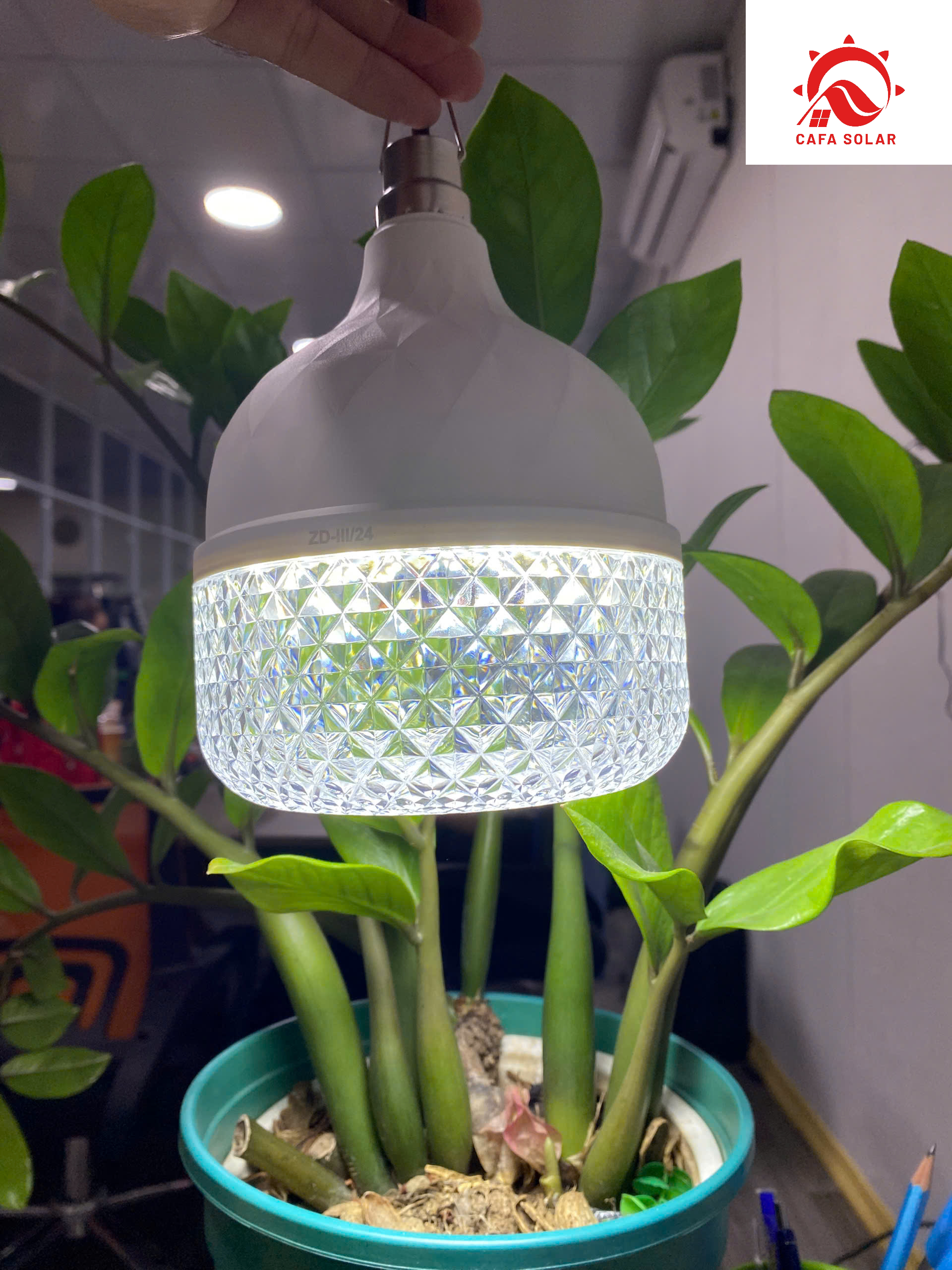 z7167055704291_50f45a489a143fcbbafd0a543155c19d