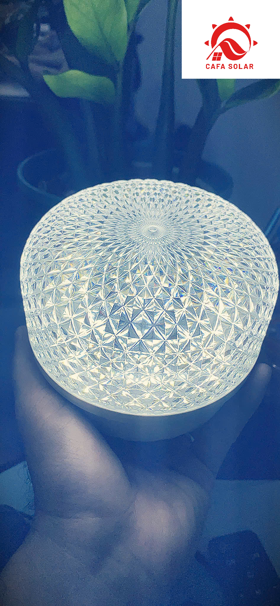 z7167055713426_d9a77bf1cd842081d28b4b93401de3ac